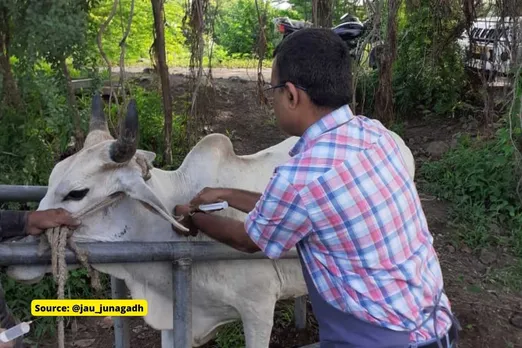 vaccine for lumpy virus
