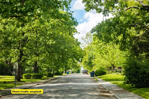 How Climate change threatens survival of urban trees?