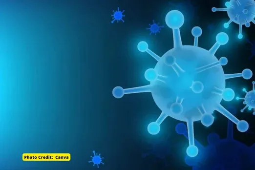 Non-communicable diseases kill 12 people every minute in India