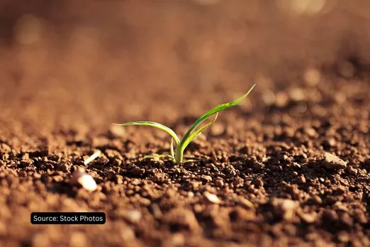 why soil is important