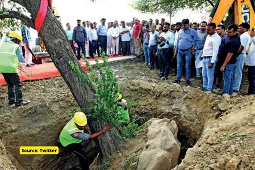 Tree Transplantation techniques in India