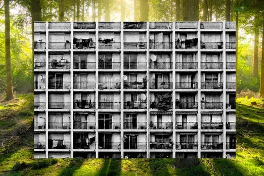 Urbanisation and environment