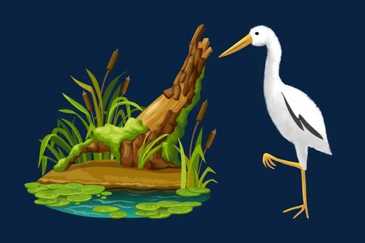 ramsar sites important to conserve wetlands