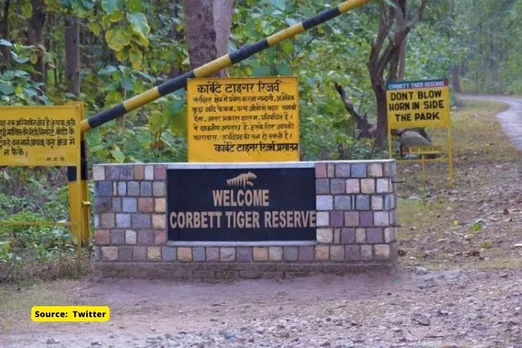 6000 trees illegally cut by Uttarakhand govt in Corbett tiger