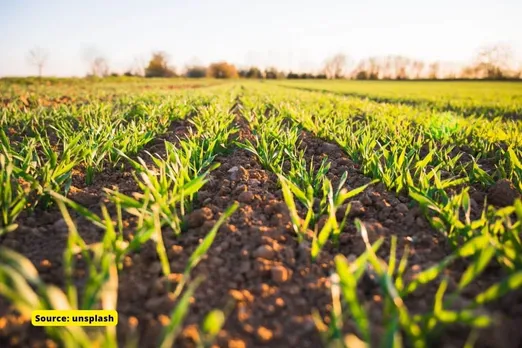 Global warming will reduce world agricultural production by 30%