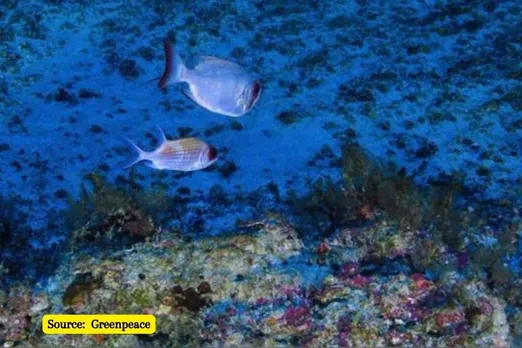 What is an ocean dead zone and why are they getting worse?