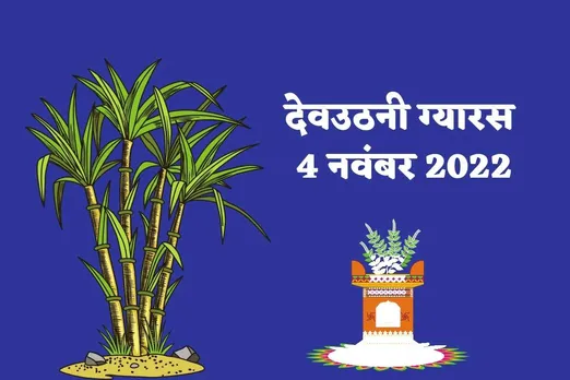 devuthni gyaaras 2022 story