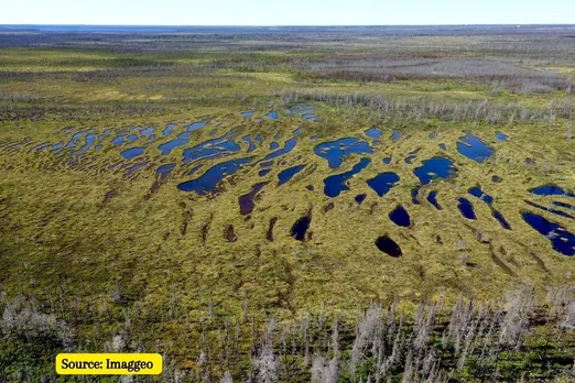 What are Carbon Sinks? How it impacts Climate Change?