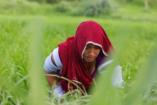 farmers of dhar fighting climate change