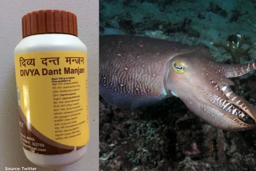 Patanjali accused of using cuttlefish in toothpaste, legal notice served