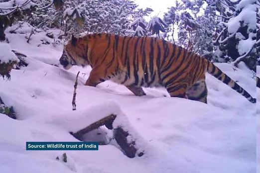 dibang tiger reserve