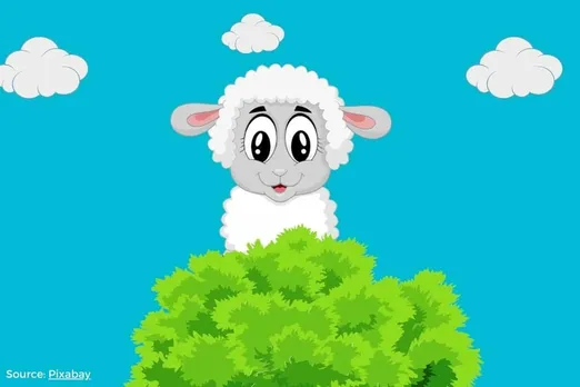 Sustainable celebrations: How to have an eco-friendly Eid al-Adha