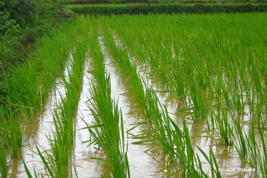 State-wise Kharif Crop Production in the year 2023