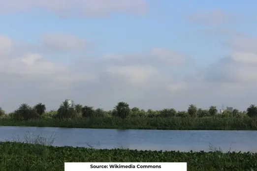 Unregulated waste discharge linked to tree decline in Surajpur wetland