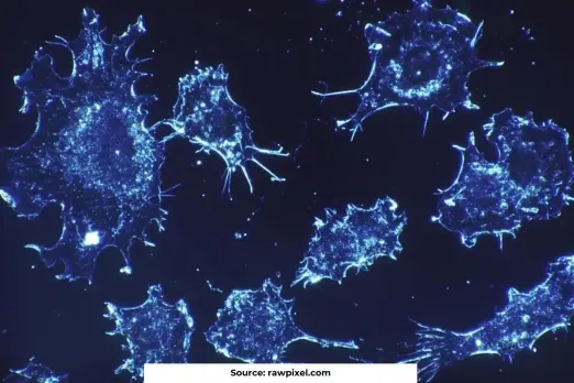 Why cervical cancer cases are rising with alarming numbers in India?