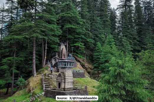 1000 Deodar trees to be cut in Jageshwar, why these trees are crucial for environment