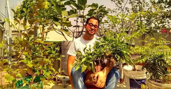 Terrace Gardening