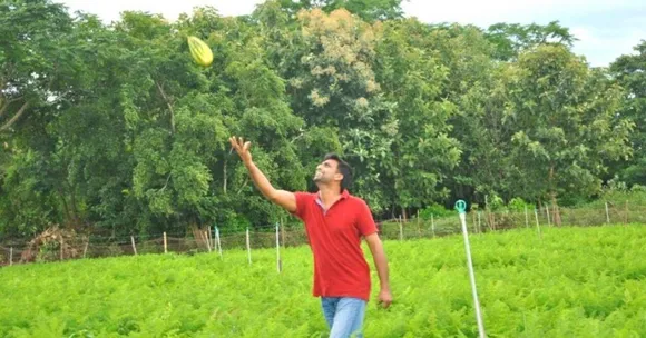 Organic Farming In City