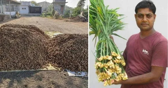 Organic Farming