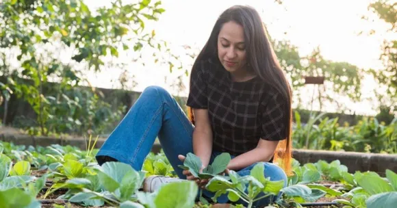 Urban Farming