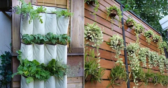 Vertical gardening