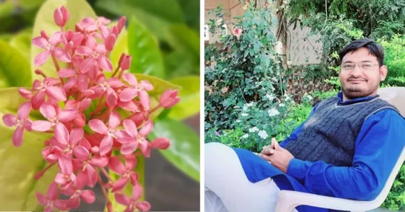 gardening