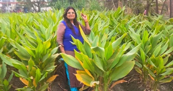 Organic farming