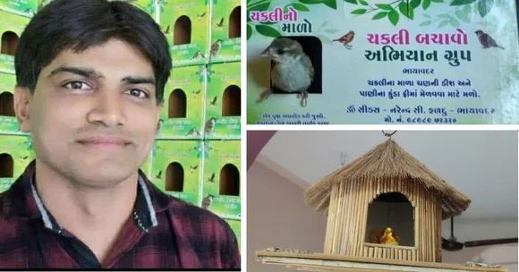 Save sparrow
