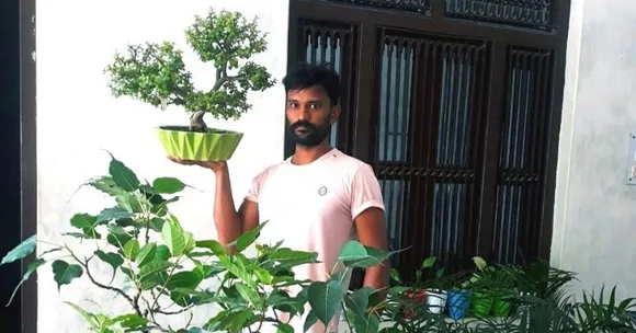 Bonsai