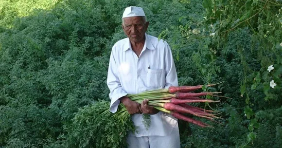 Carrot Farmer