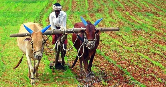 Help for farmers