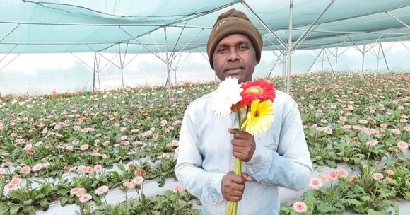 Organic Farming