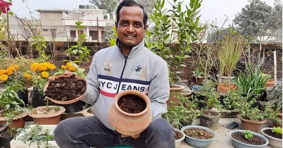 tea compost