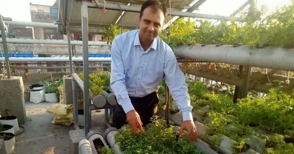 Hydroponic gardening