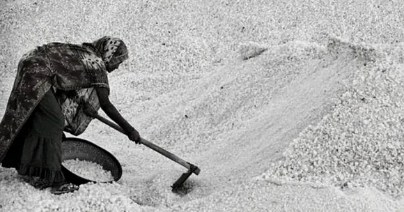 Salt Satyagrah