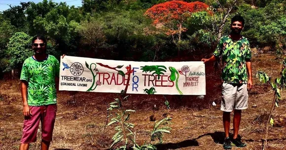 Tree Plantation