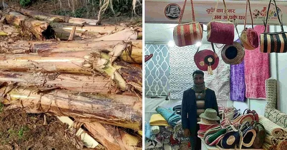 Banana Waste Creativity