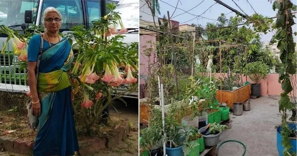 Gardening