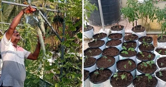 Gardening