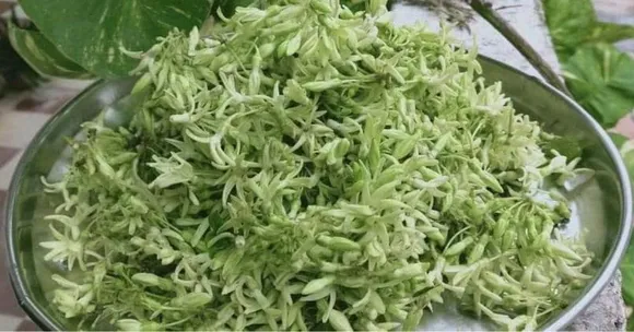 Vachheti