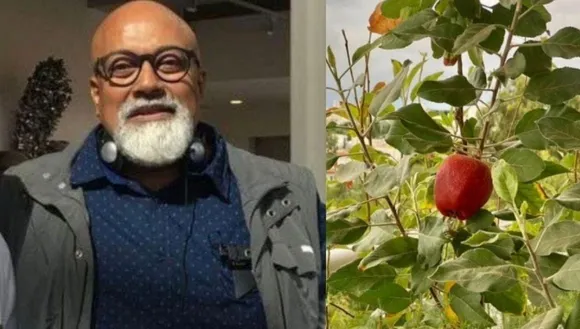 grow apple