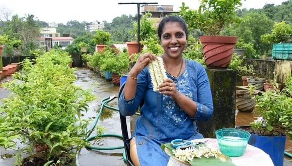 Growing Jasmine