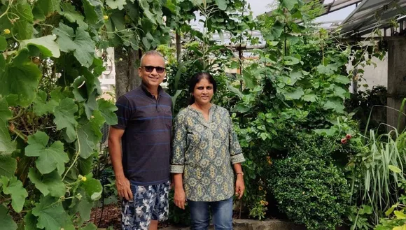 Terrace Gardening