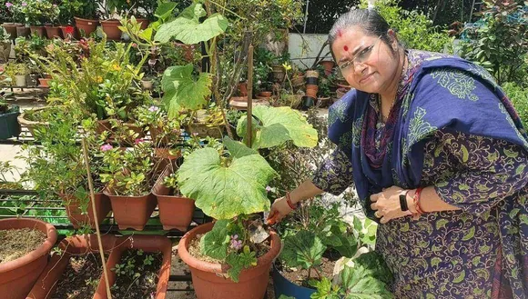 3 Easiest Vegetables To Grow For Home