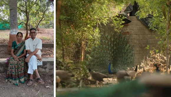 Tree Plantation By Retired Teacher Couple