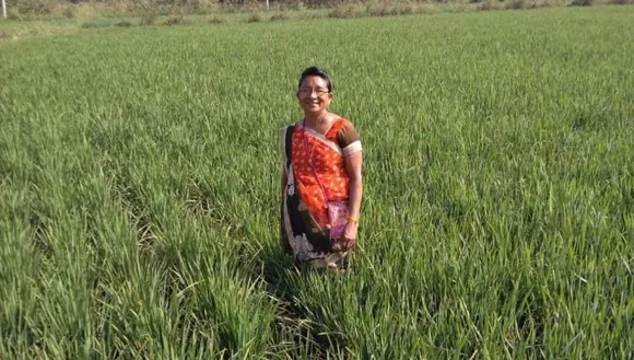 Farming