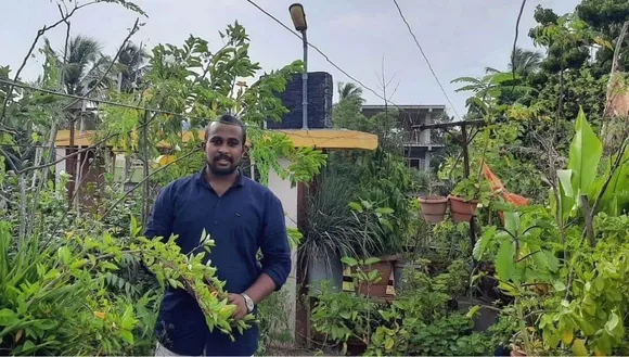 Growing Plants At Home By Mani