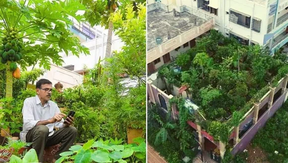 Home Terrace Farming