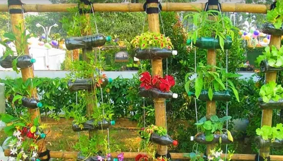Cold drink Bottle Planters
