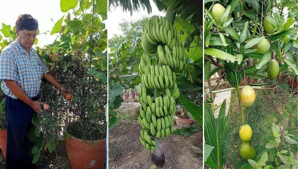 Gardening Expert Vijay Rai